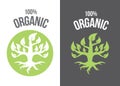 Organic plant Ã¢â¬â stock illustration Ã¢â¬â stock illustration file